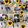 自由時間もすべり台(≧▽≦)「後転＆側転チャレンジヽ(^o^)丿」