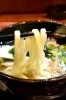 お昼はかすうどんランチをお楽しみください！「居酒屋 あしたも元気」