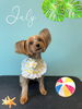 「お友達♡ Dog salon mofu mofu 余市町」