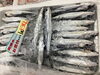 「魚魚市場鮮魚コーナーおすすめは「スズキ・トビウオ」です♪」