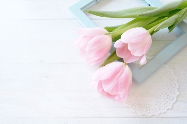 卒業式 入学式 お祝いにおすすめのお店 中予地域のお役立ち情報まとめ まいぷれ 松山 伊予 東温 松前 砥部 卒業式 入学式 お祝いにおすすめのお店 中予地域のお役立ち情報まとめ まいぷれ 松山 伊予 東温 松前 砥部