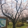 【盛岡市】さくら園