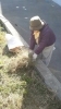 「草抜きなどお困りごとは便利屋ティプロへ! 　広島市を中心に広島県全域 で実施中」