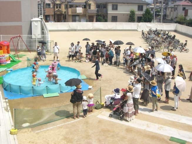 「夏のイベントープールショーです。」