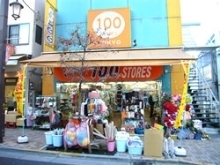 THE 100 STORES