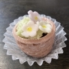 春の花鉢