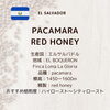 「【本格コーヒーで人気！名張駅西口から徒歩6分　オーダー焙煎のコーヒー専門店　コペ】ニュークロップのご案内♪」