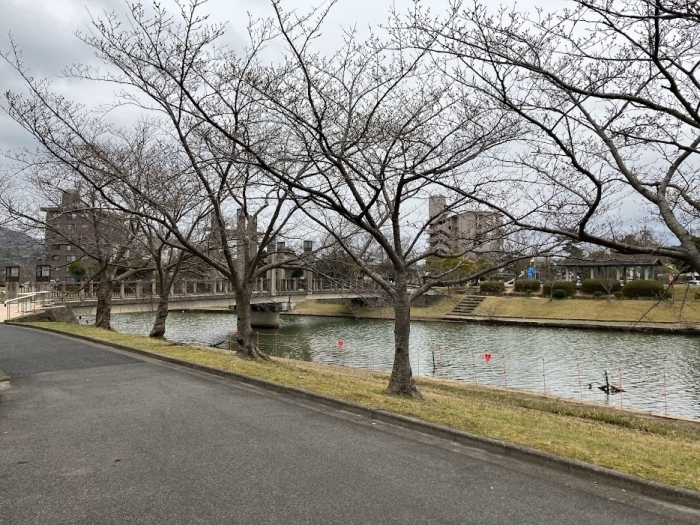 松江北公園