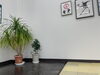 安らぎとアートが調和する空間「アートと観葉植物に囲まれた屋内ショールームでクルマ選び」