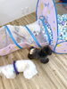 理玖くんリリーちゃん追いかけっこ中　じろうくん？「ましゅまろ幼稚園」