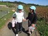 手をつないで帰ろう♬「お散歩に行ってきました♬～秋の北浦湖畔編～」