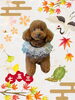 「Dog salon mofu mofu　余市町」