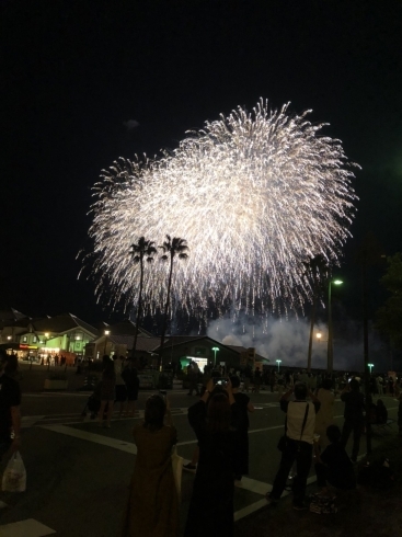 「マリーナシティの花火が開催されました！」