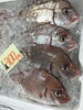 「魚魚市場鮮魚コーナーおすすめは「イトヒキダイ」です♪」