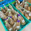「南木曽より山菜が届きはじめました！農産物直売所」
