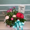 6. 寄せかごflower