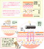 「今月のオススメ(*^^)v」