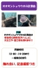 今週末はオオサンショウウオ計測会を開催！記念撮影も「 冬の週末は水族館で遊び、学ぼう✨かすみがうら市水族館の2月イベント情報」