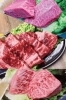 ミスジ・特上ロース・ヒレ「ホルモン てっちゃん」