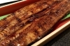 丁寧に焼き上げた自慢の鰻です「鰻さすが」