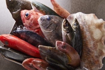 小田原漁港で朝獲れた魚を使っていますので新鮮さには自信あり！「トラットリア た喜ち 高砂店」