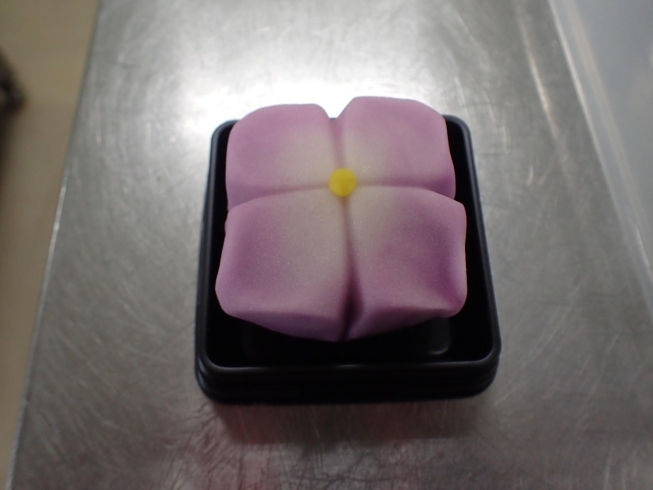 練きり製「紫陽花の和菓子」