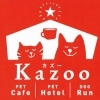 Kazoo