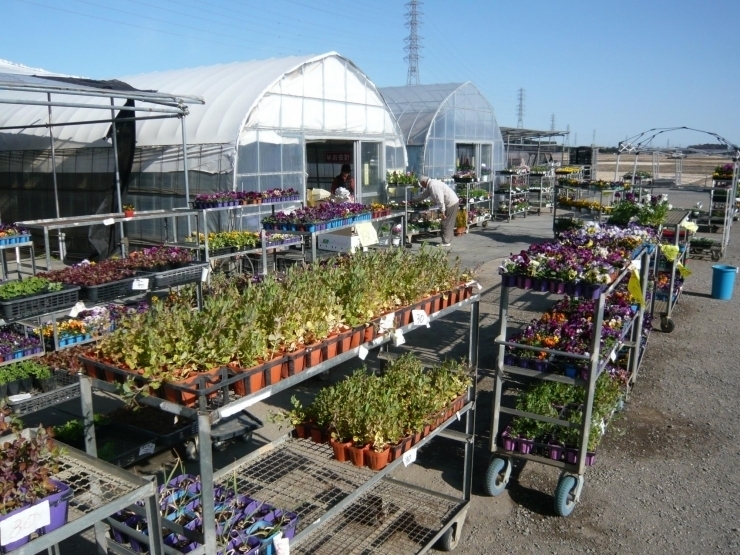 大切な人への贈り物に 伊奈町でおすすめの花屋さん まとめ いなナビ編集部おすすめのお店まとめ いなナビ 伊奈町 大切な人への贈り物に 伊奈町でおすすめの花屋さん まとめ いなナビ編集部おすすめのお店まとめ いなナビ 伊奈町