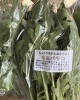 「🥬地元産の野菜をお届け！「採れたてご褒美便」の春夏が始まりました！」