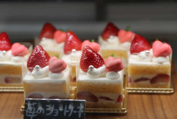 「Patisserie & Gelateria Luminare」本物の素材で作る極上スイーツ！　地域に愛されるお店を目指します