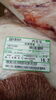 最高級の肉厳選 your_experience「佐賀県産A5黒毛和牛ウチモモで楽しむ自家製ローストビーフ」
