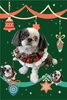 「Dog salon mofu mofu　余市町」