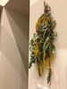 「お花で癒されてきました」