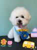 「Dog salon mofu mofu 余市町」