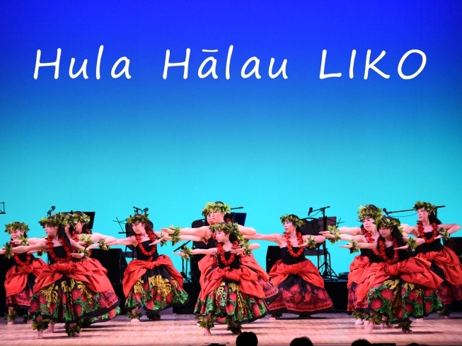 フラダンス教室 ｈｕｌａ ｈａｌａｕ ｌｉｋｏ フラハラウリコ 音楽 ダンス バレエ まいぷれ 立川市