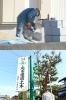 様々なご要望にしっかりと応え、ご納得いただける仕事を致します「有限会社 島田造園土木」