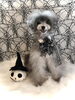 ＭｅＭｅ／シルバー　１０歳「Happy Halloween (^o^)  うちの子パートⅠ」