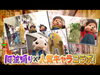 「本マグロ解体ショー＆安売り！阿波踊り×人気キャラコラボ！【2023秋のドリーム大収穫祭】in新小岩ルミエール商店街★3年の歳月を経て、ついにあの祭りが帰ってくる！超お得な祭りが復活！2023年10月29日（日）開催！」
