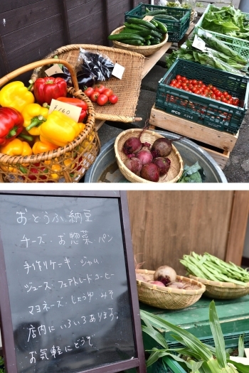 赤井川で栽培される野菜を店頭販売しています。「CSAショップ」