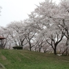 【盛岡】都南中央公園