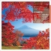 Vol.19「おうちで紅葉巡り」