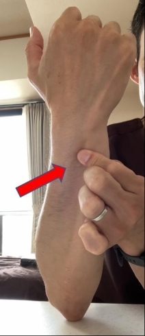 ぎっくり腰 ぎっくり腰に効くツボはこちら 腰痛 坐骨神経痛 整体 那須塩原 大田原 整体院山本のニュース きらきらホットなすしおばら 那須塩原市 ぎっくり腰 ぎっくり腰に効くツボはこちら 腰痛 坐骨神経痛 整体 那須塩原 大田原 整体院山本のニュース きらきらホットなすしおばら 那須塩原市