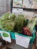 サンチュあります！アスパラあります！トマトもあるよ「八王子産野菜の販売が再開しました。1週間ほど正面入口工事の為販売できませんでした。お待たせしました。なのですいませんの気持ちを2点購入ごとに50円引きにします。6/21まで開催！　八王子産野菜　八王子」