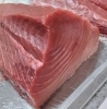 「伊根マグロ解体即売会、おかげさまで大盛況でした。完売御礼！」
