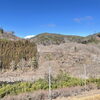 「『三尾紅梅』開花宣言！道の駅木曽福島」