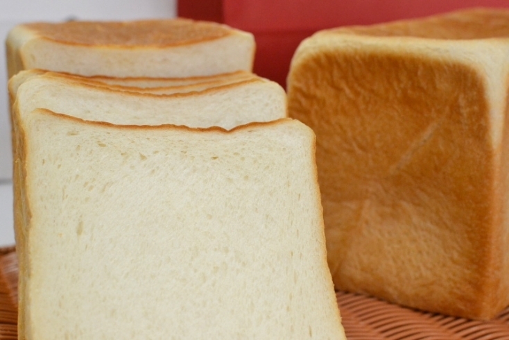 「国産小麦粉100% 自然が生み出すみっちり食パン【門真市ふるさと納税】」