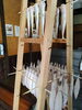「📣本日のお魚情報🐟」