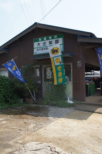 近くにお越しの際はお立ち寄り下さい♪「大庄梨園」