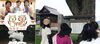 「【更新しました♪】山陰スピリチュアル紀行～鳥取東部・白兎ゆかりの神社めぐり～」