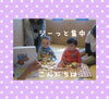 「☆ベビーマッサージをはじめる前に・・・☆～スキンシップ～」